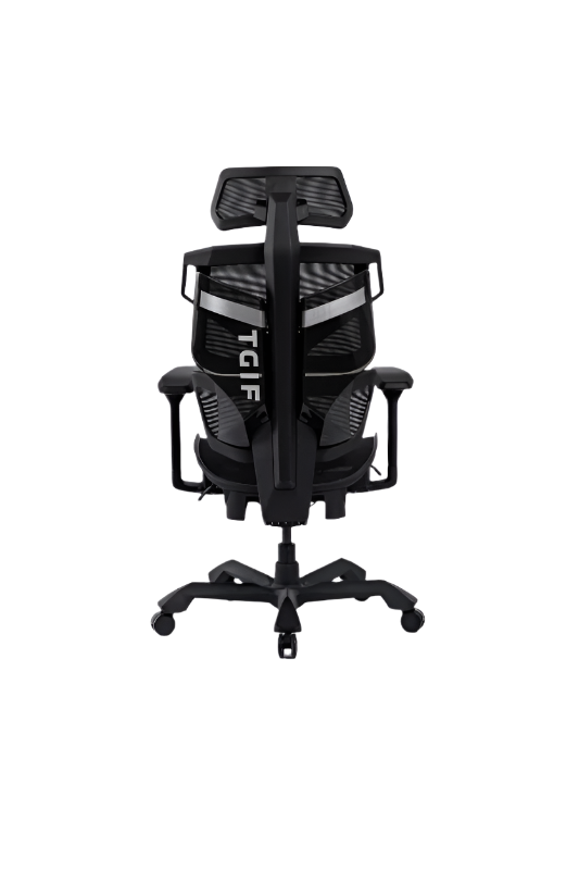 Picture showing a TGIF Ace Home black from the back